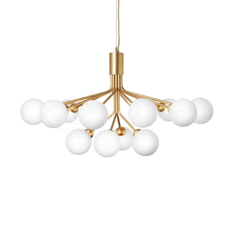 Apiales Chandeliers