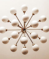 Apiales Chandeliers