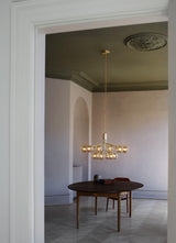 Apiales Chandeliers