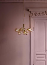 Apiales Chandeliers