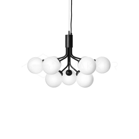 Apiales Chandeliers