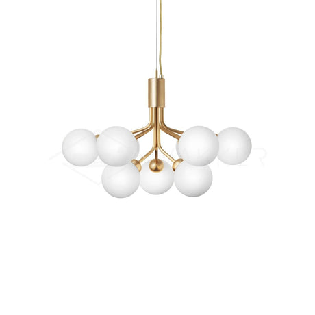 Apiales Chandeliers