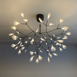 Black Heracleum Chandelier