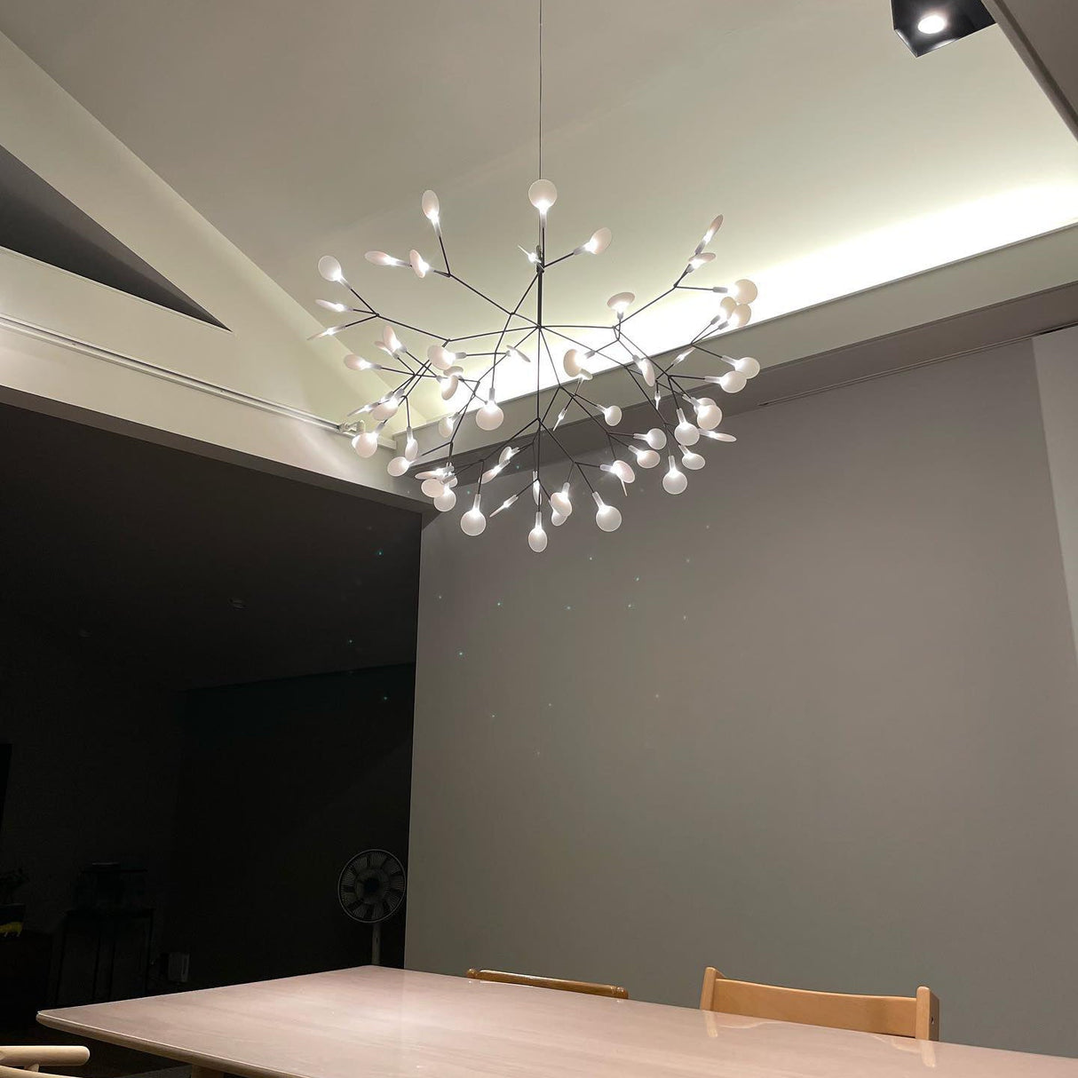 Black Heracleum Chandelier