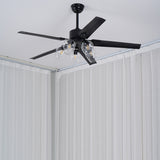 Glass Ball Ceiling Fan light