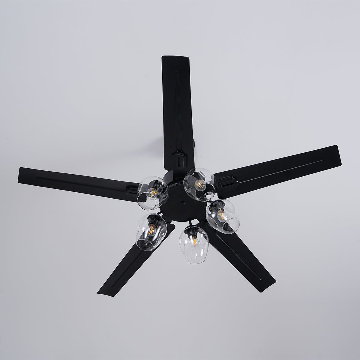 Glass Ball Ceiling Fan light