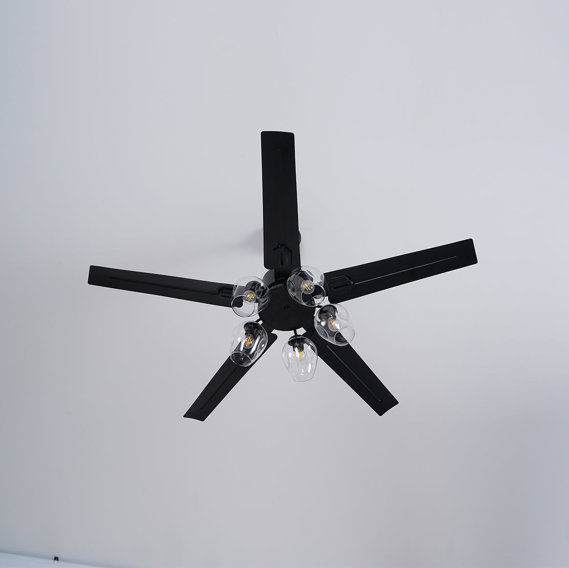 Glass Ball Ceiling Fan light