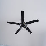 Glass Ball Ceiling Fan light