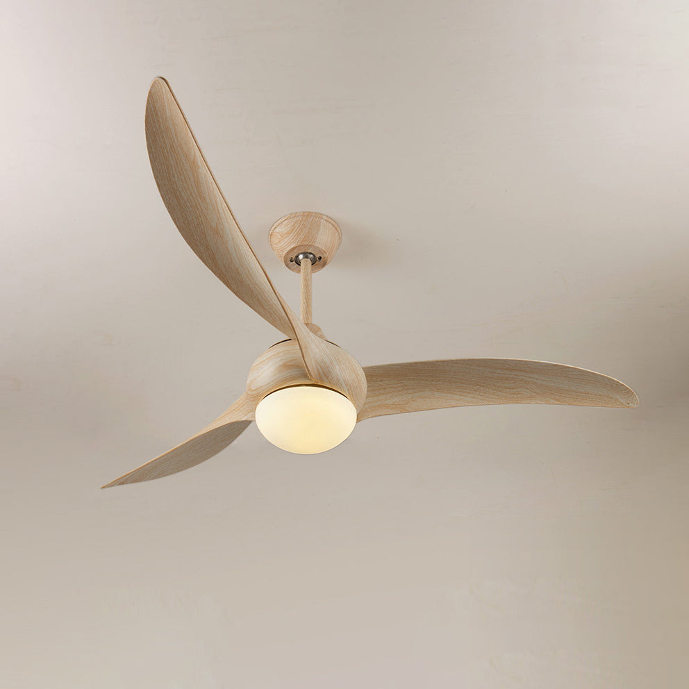Traditional Ceiling Fan Light