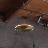Chrona Dish Suspension