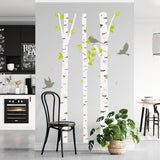 Large Birch Trees Wall  Decals