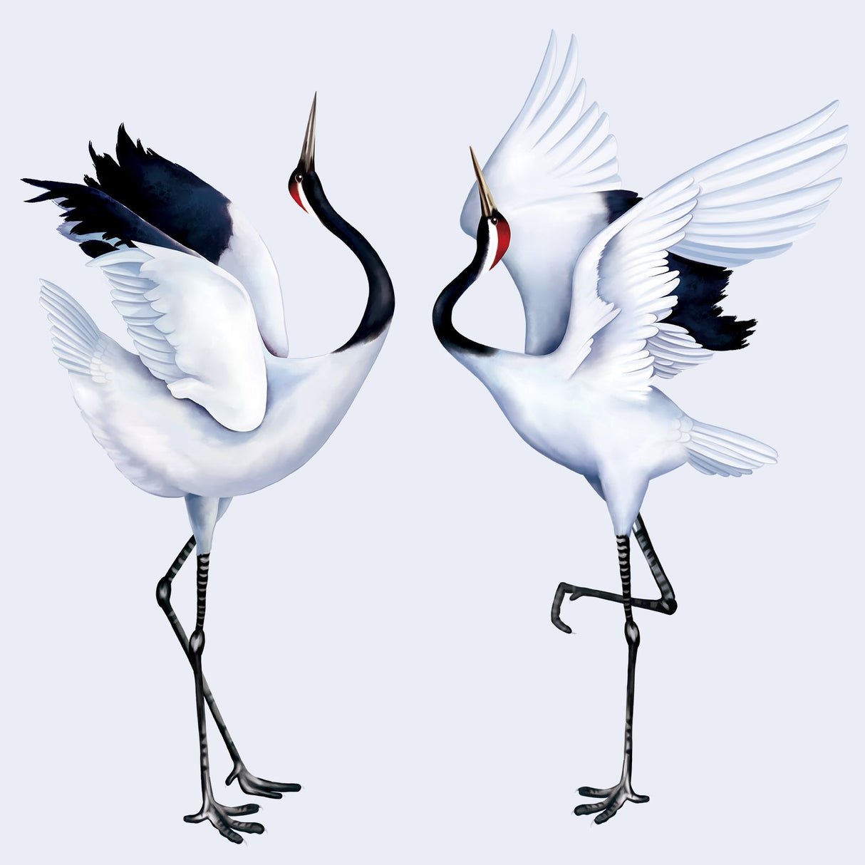 White Crane Wall Decals