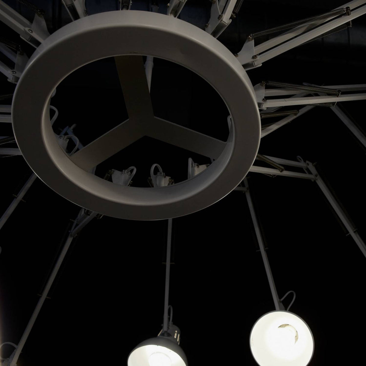 Dear Ingo Chandeliers