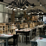 Dear Ingo Chandeliers