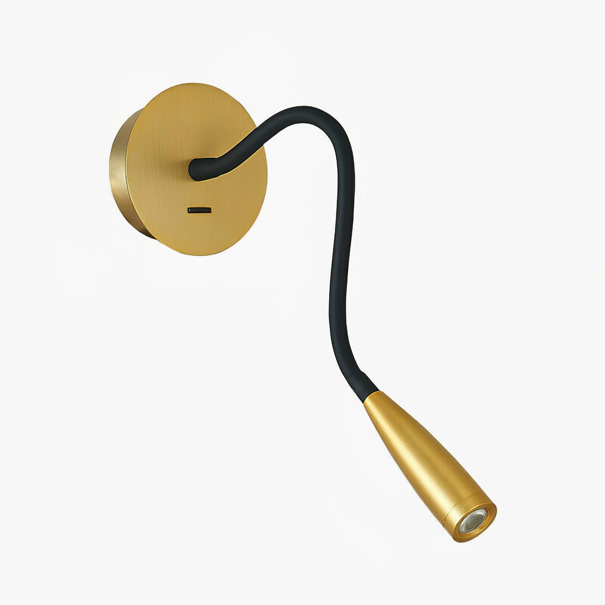 Flexi Leather Wall Light