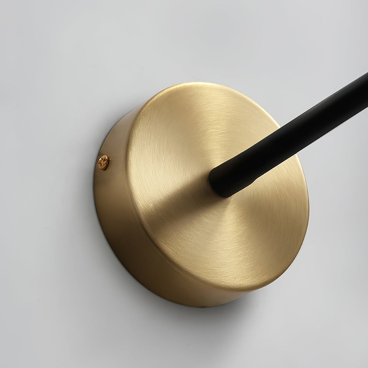 Flexi Leather Wall Light