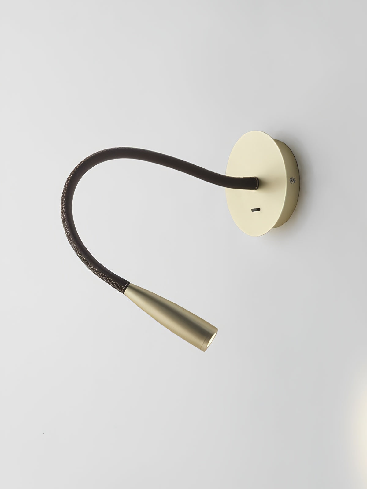 Flexi Leather Wall Light