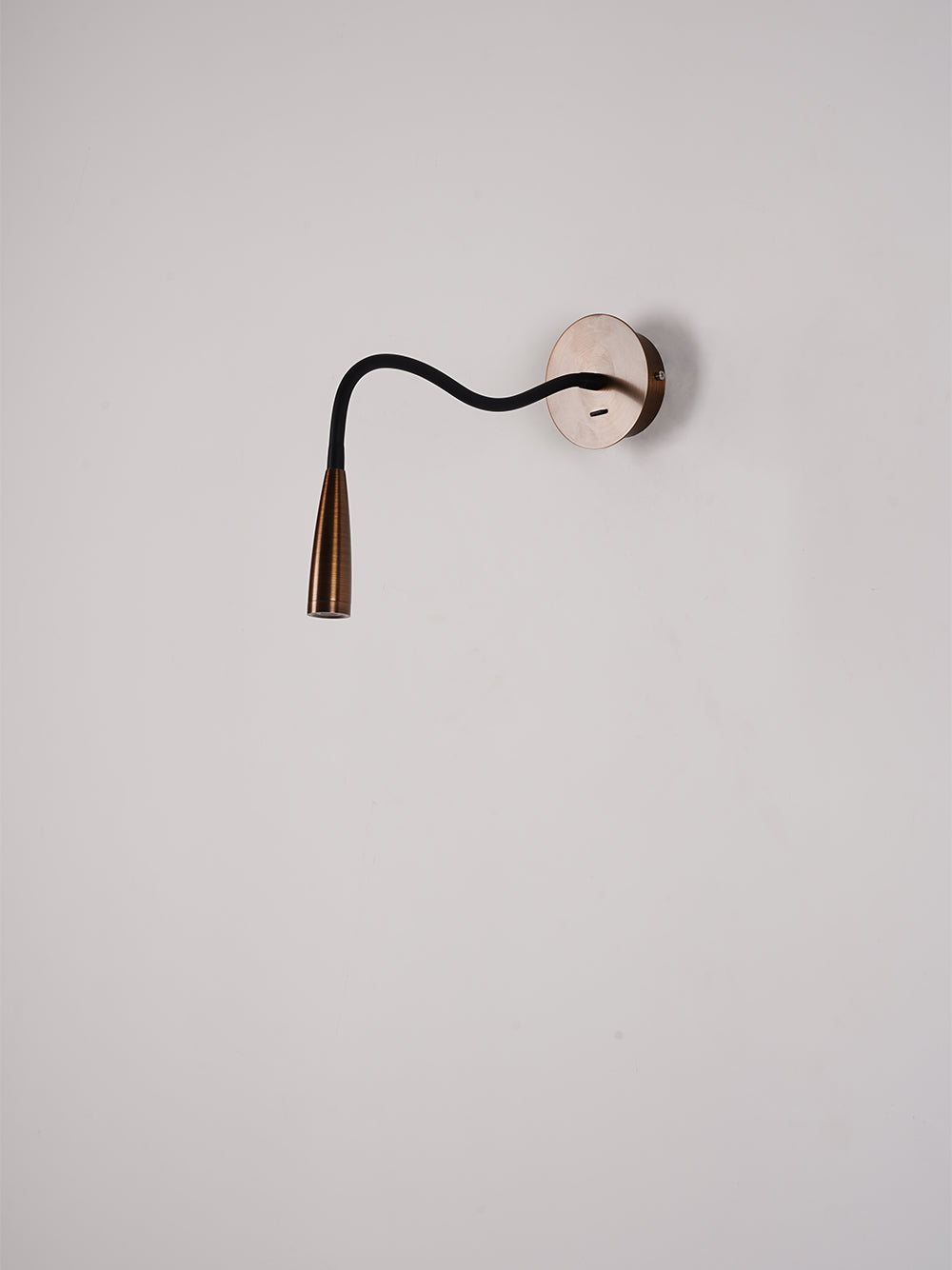 Flexi Leather Wall Light