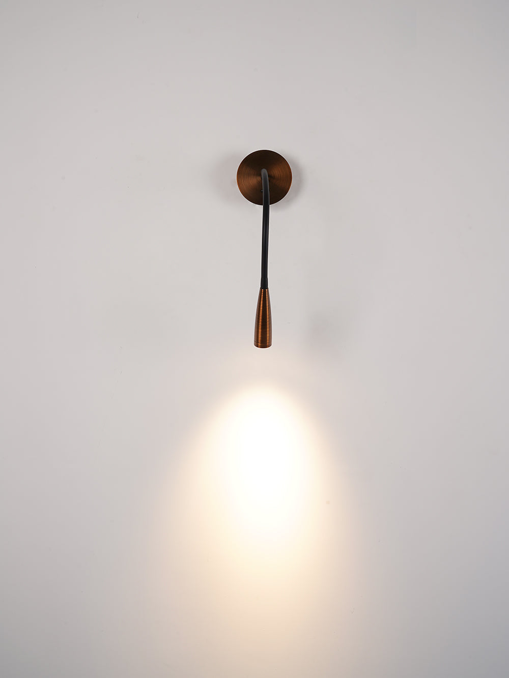 Flexi Leather Wall Light