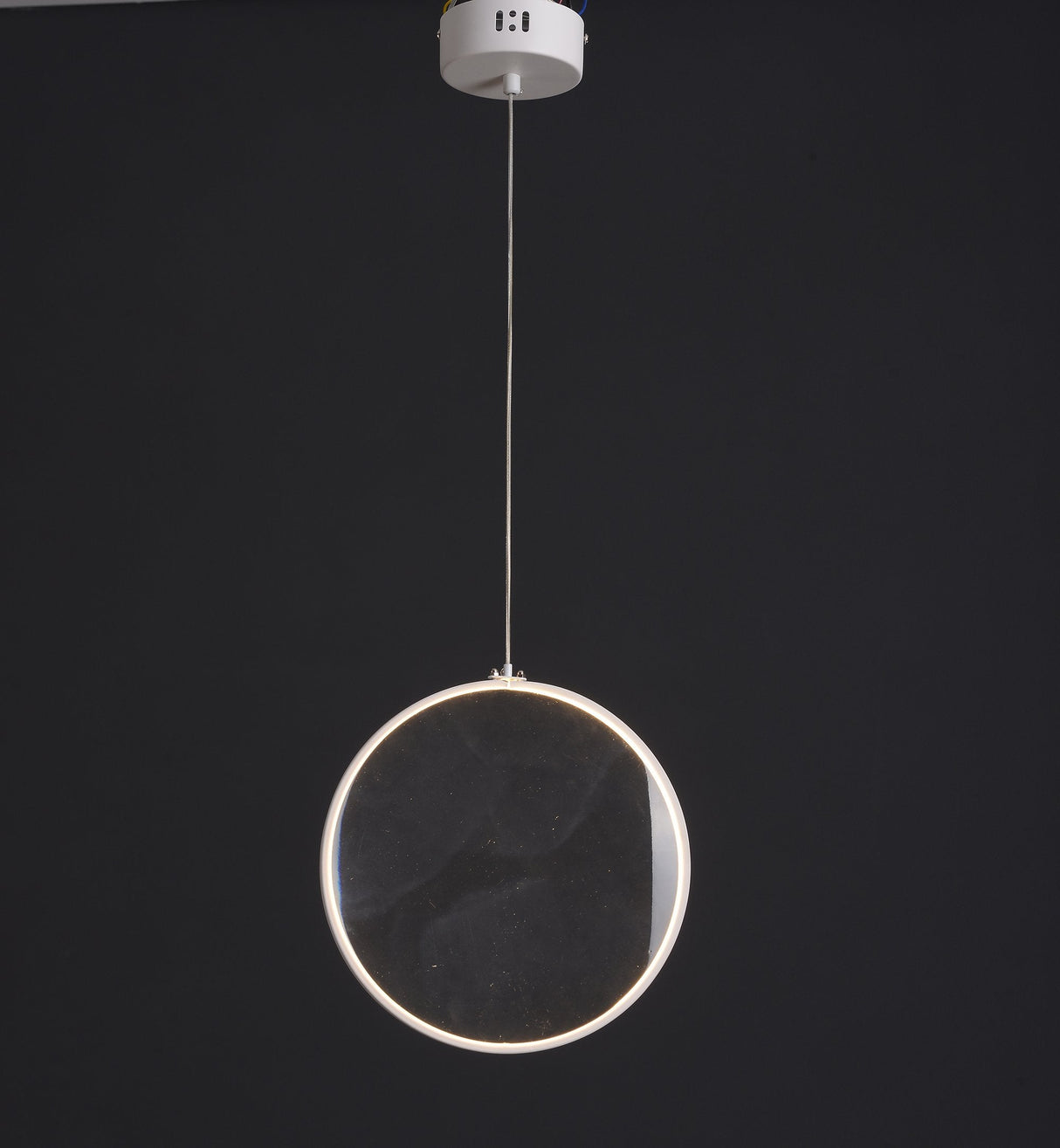 Focus Pendant Light