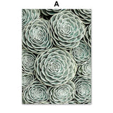 Green Cactus Succulent Orchid Leaves Wall Art Canvas Painting Nordic Posters And Prints Wall Pictures For Living Room Wall Decor