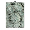 Green Cactus Succulent Orchid Leaves Wall Art Canvas Painting Nordic Posters And Prints Wall Pictures For Living Room Wall Decor