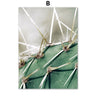 Green Cactus Succulent Orchid Leaves Wall Art Canvas Painting Nordic Posters And Prints Wall Pictures For Living Room Wall Decor