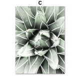 Green Cactus Succulent Orchid Leaves Wall Art Canvas Painting Nordic Posters And Prints Wall Pictures For Living Room Wall Decor