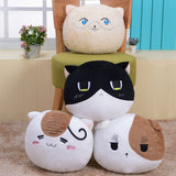 Lovely Cat Plush Pillow Toy