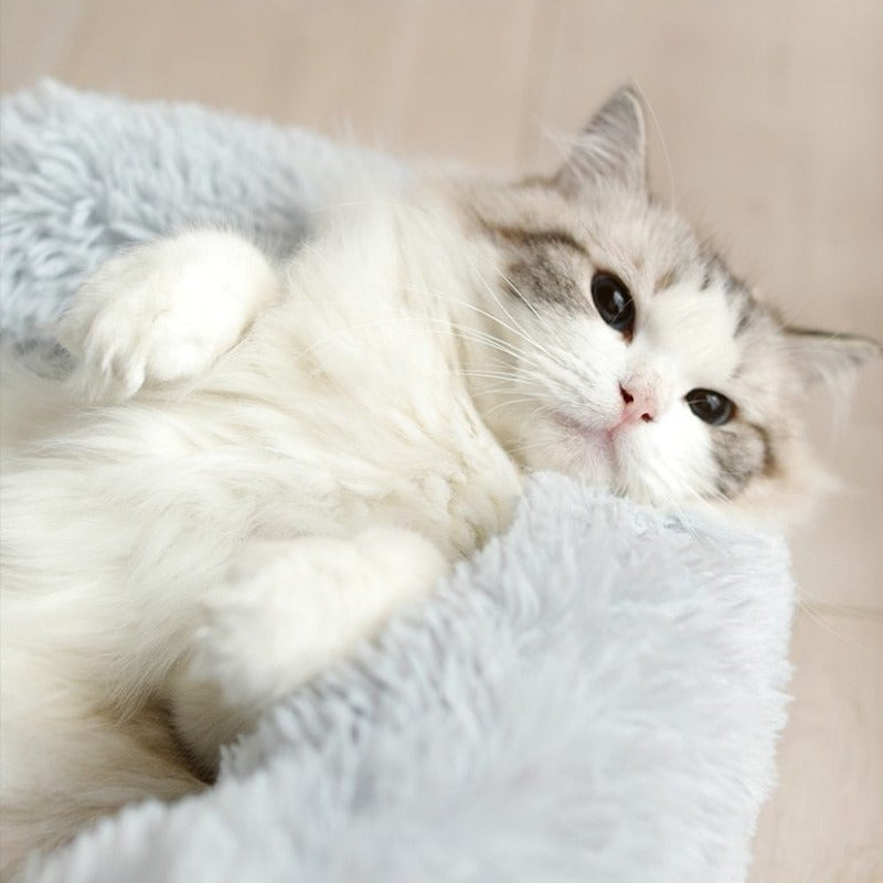 The Cloud Nest Pet Bed