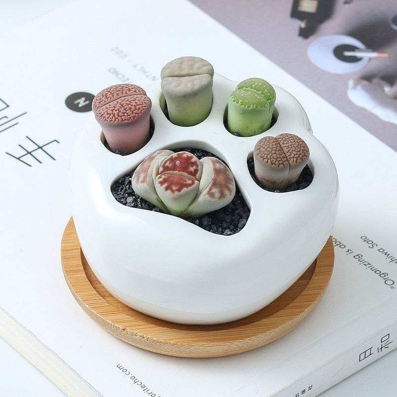 Creative Cat Paw Flowerpot