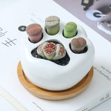 Creative Cat Paw Flowerpot