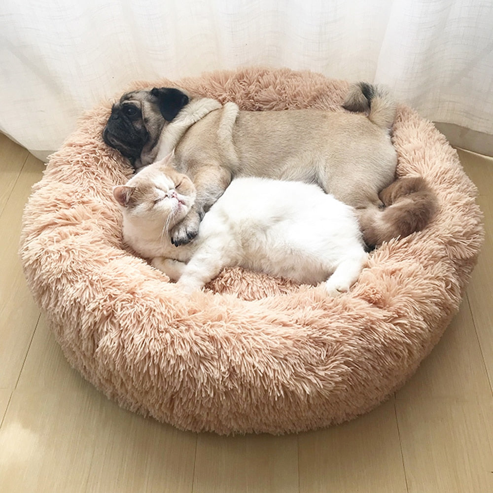 The Cloud Nest Pet Bed