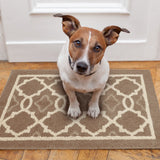 Beige Modern Entrance Rug