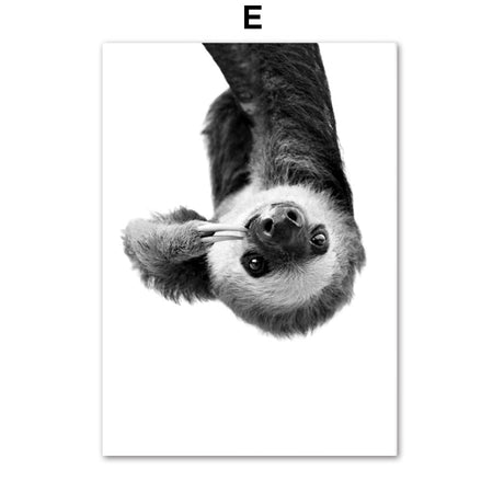 Black & White Alpaca Yak Otter Sloth Animals Wall Art