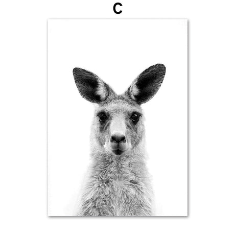 Black & White Alpaca Yak Otter Sloth Animals Wall Art