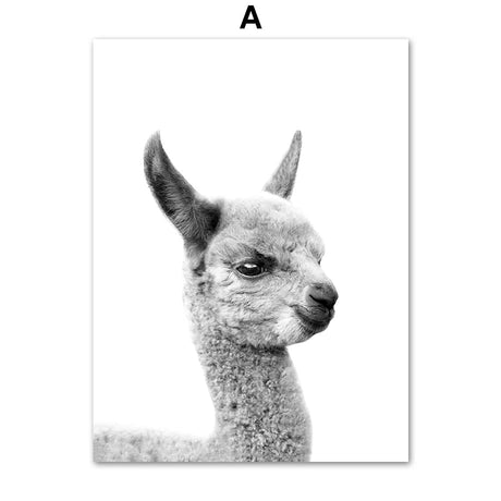 Black & White Alpaca Yak Otter Sloth Animals Wall Art