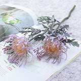 The Luxe Pincushion Protea Stem