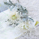 The Luxe Pincushion Protea Stem