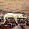 Sleeping Cat Papercraft Wall Decor