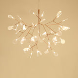 Heracleum Chandeliers