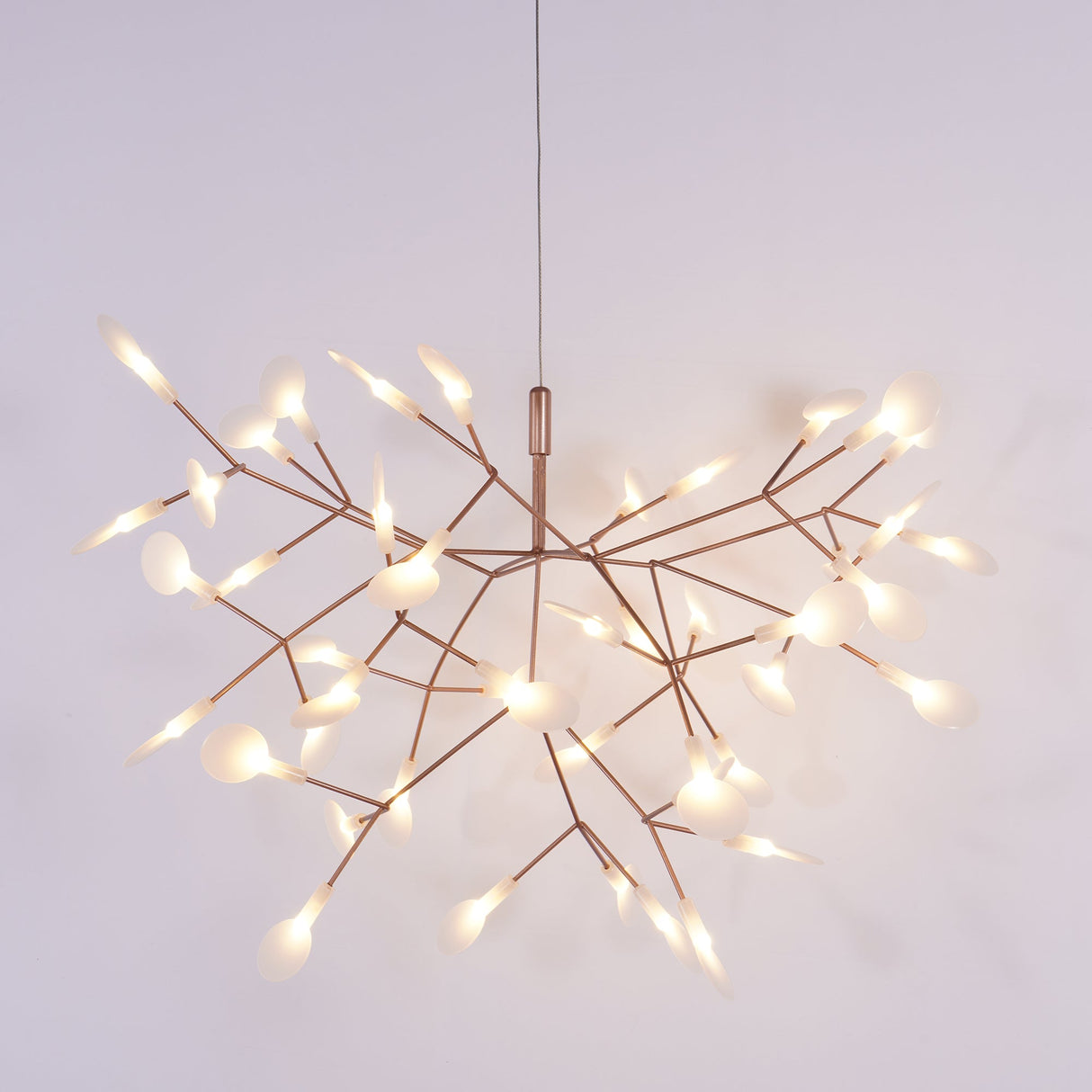 Heracleum Chandeliers