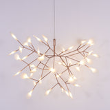 Heracleum Chandeliers