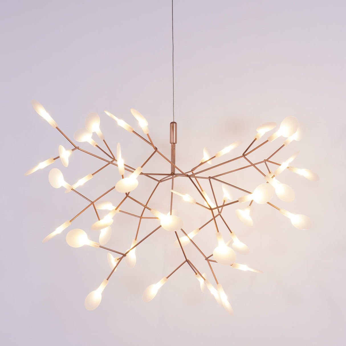 Heracleum Chandeliers