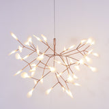 Heracleum Chandeliers