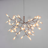 Heracleum Chandeliers