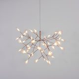 Heracleum Chandeliers