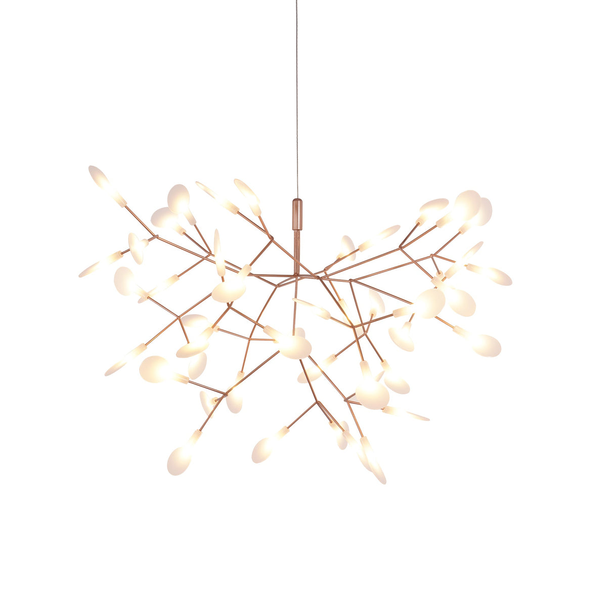 Heracleum Chandeliers