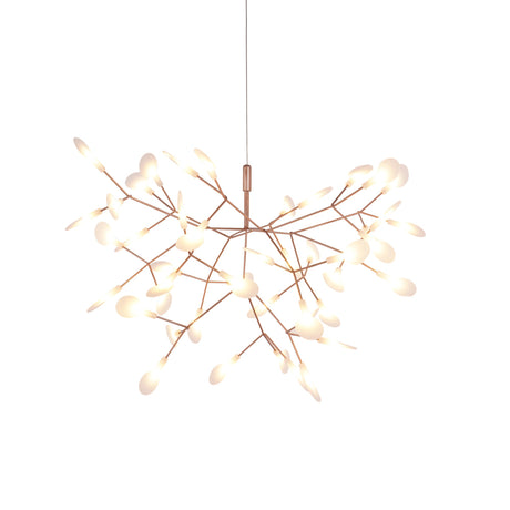 Heracleum Chandeliers