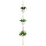 Handmade macrame plant flower pot hanger for wall decoration